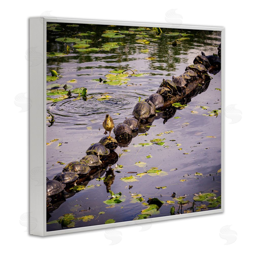Ryan Sims Bird on Turtle Backs White Framed Giclee Wall Art Print