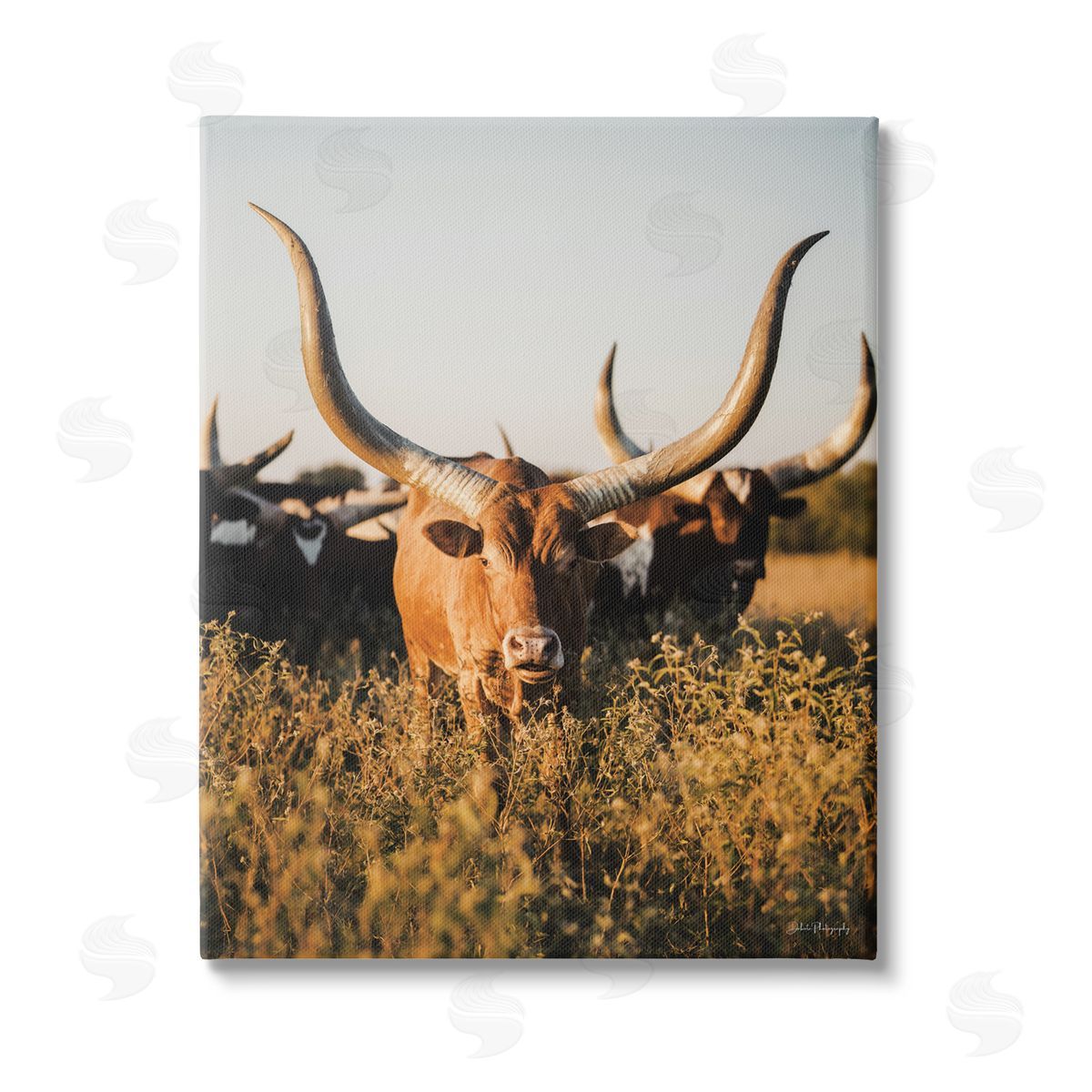 Dakota Diener Longhorn Herd Photography Stretched Canvas Wall Art Print