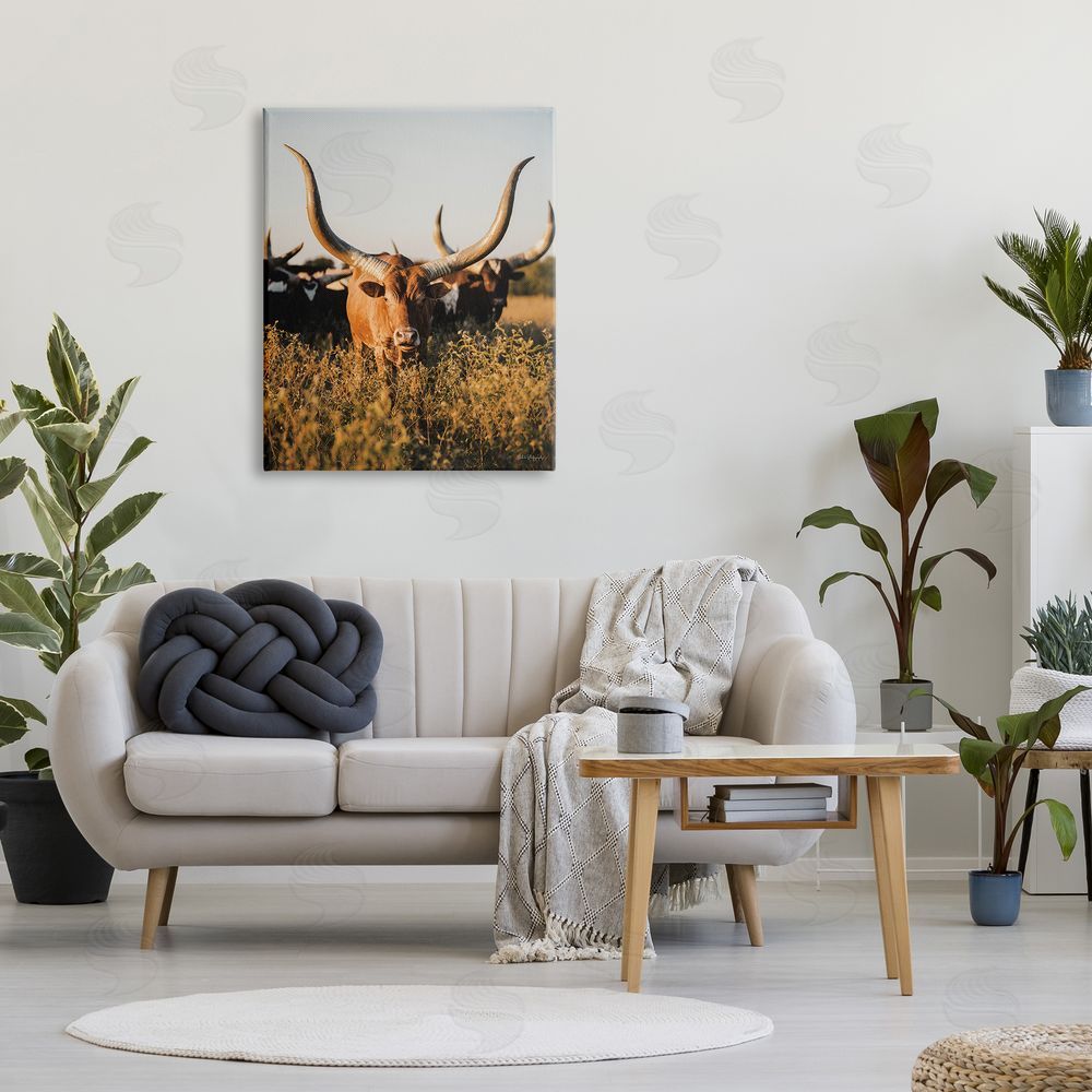 Dakota Diener Longhorn Herd Photography Canvas Wall Art Print in Room