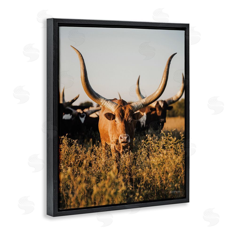 Dakota Diener Longhorn Herd Photography Black Floating Frame Canvas Wall Art Print