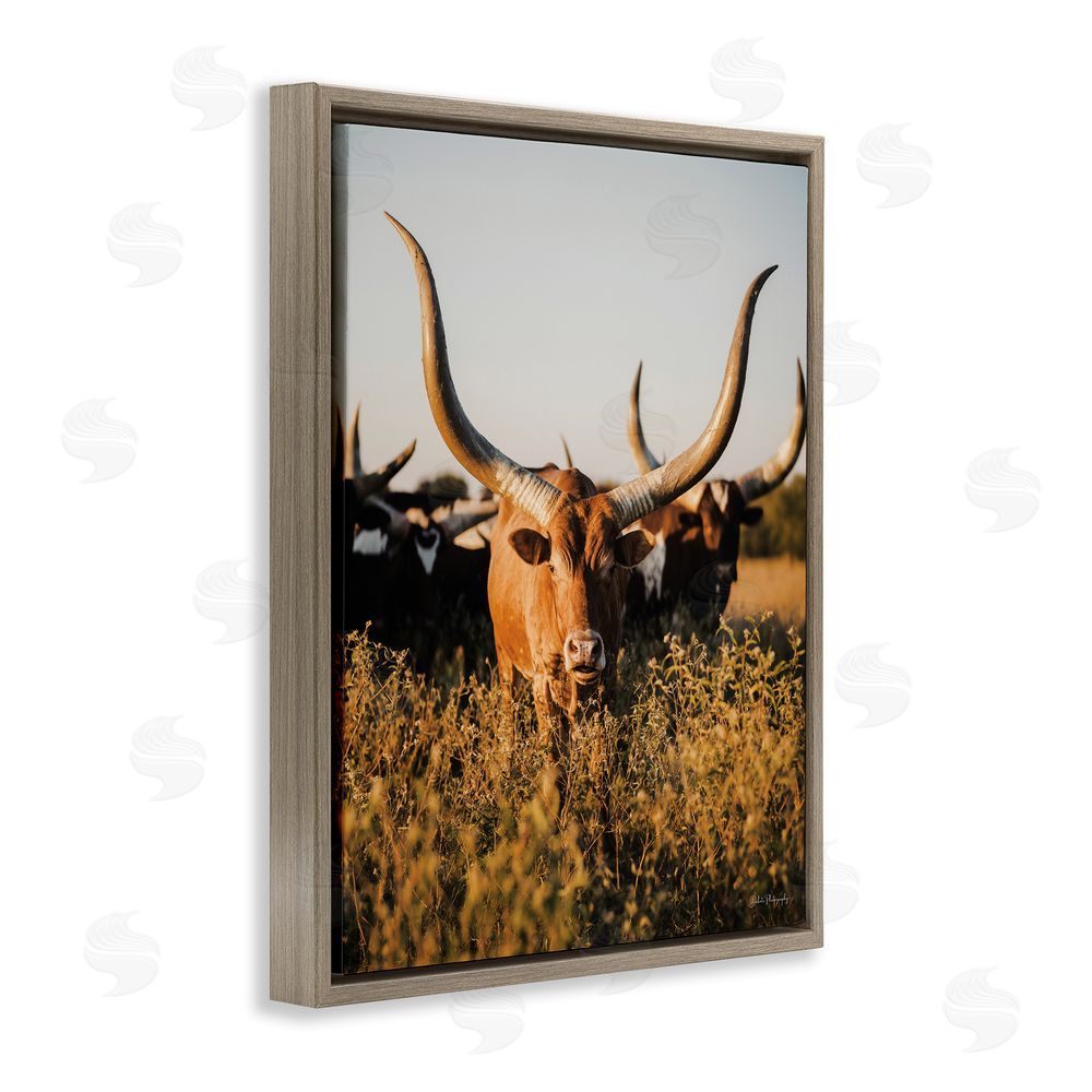 Dakota Diener Longhorn Herd Photography Brown Floating Frame Canvas Wall Art Print
