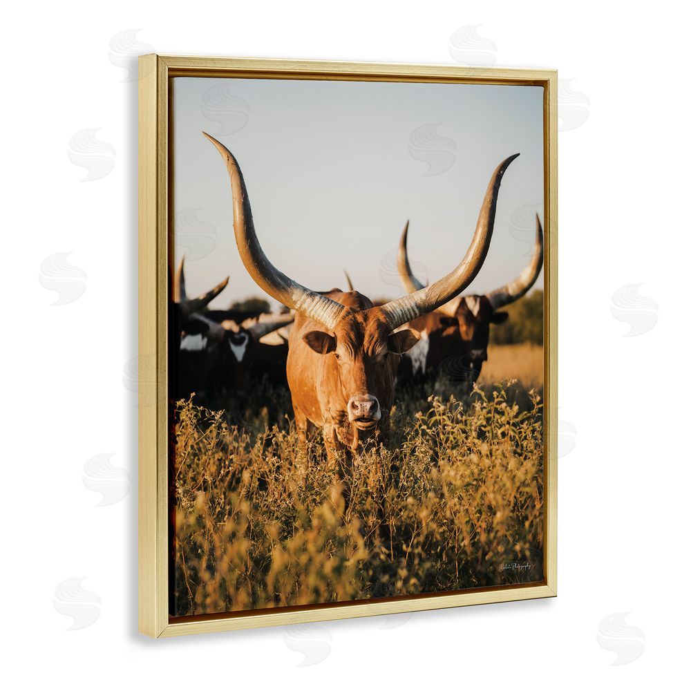 Dakota Diener Longhorn Herd Photography Gold Floating Frame Canvas Wall Art Print
