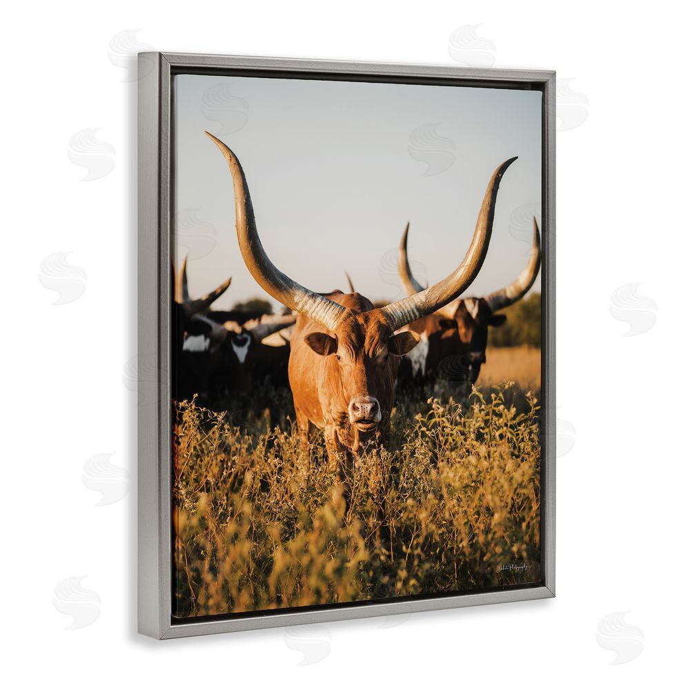 Dakota Diener Longhorn Herd Photography Grey Floating Frame Canvas Wall Art Print