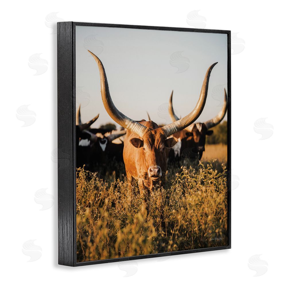 Dakota Diener Longhorn Herd Photography Black Framed Giclee Wall Art Print