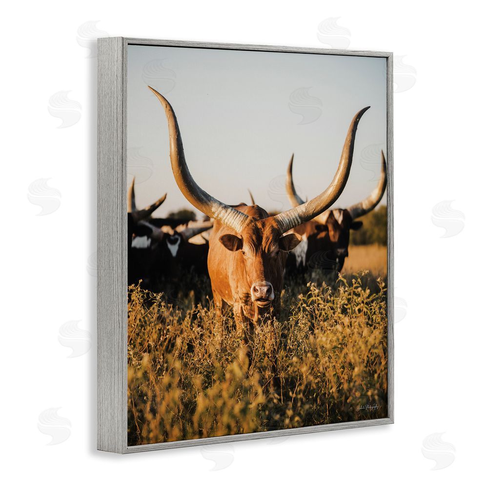 Dakota Diener Longhorn Herd Photography Gray Framed Giclee Wall Art Print