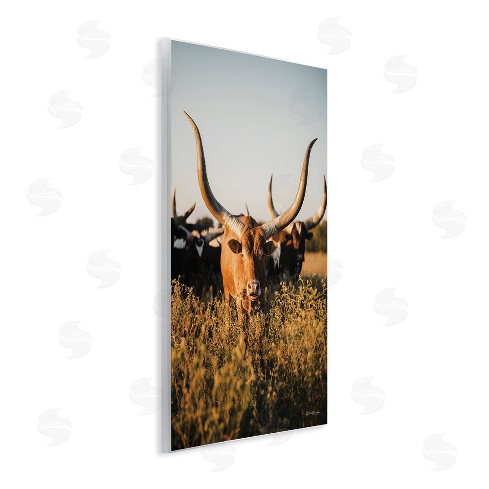 Dakota Diener Longhorn Herd Photography Wall Plaque Art Print