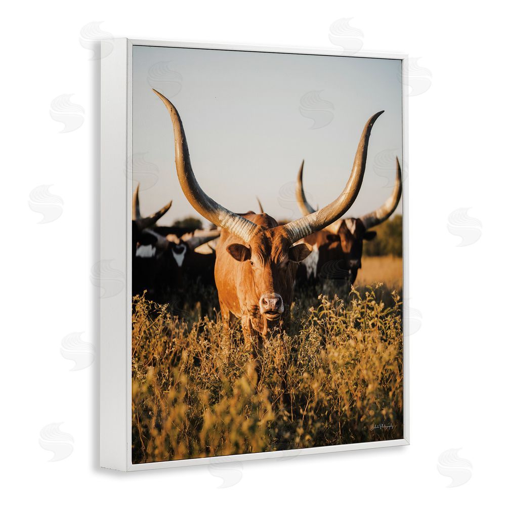Dakota Diener Longhorn Herd Photography White Framed Giclee Wall Art Print