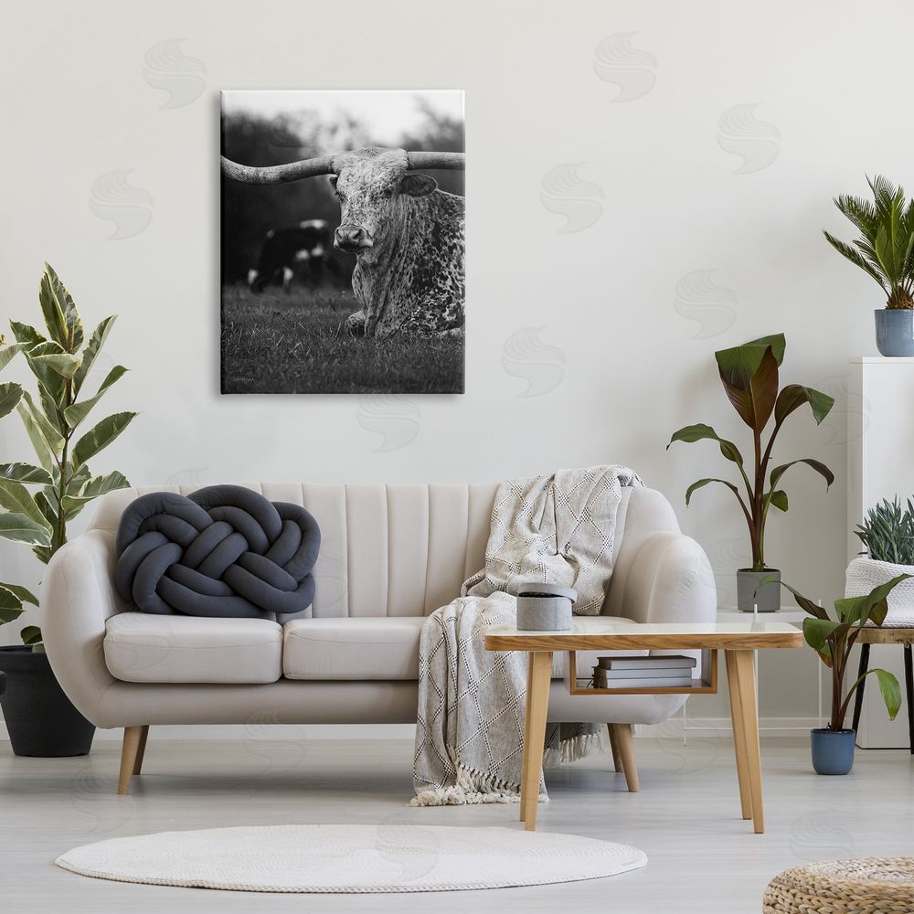 Dakota Diener Resting Longhorn Photography Canvas Wall Art Print in Room