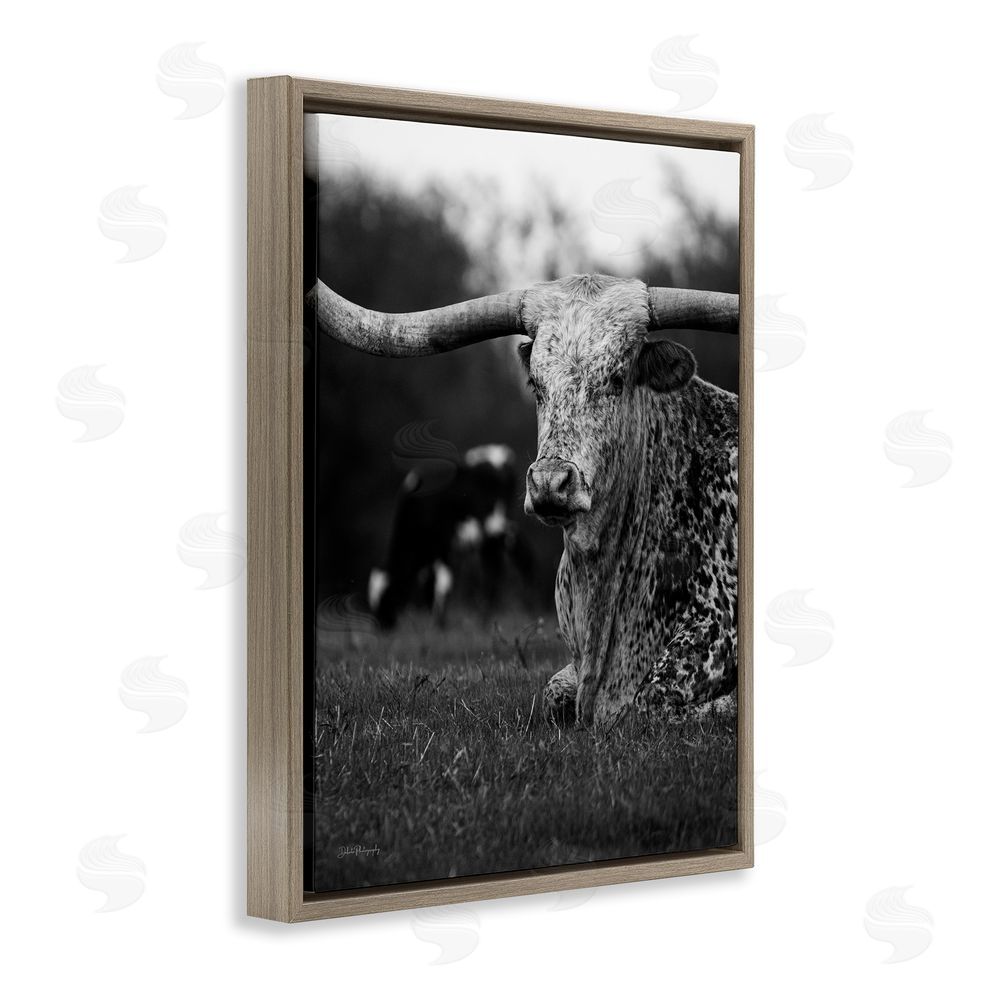Dakota Diener Resting Longhorn Photography Brown Floating Frame Canvas Wall Art Print
