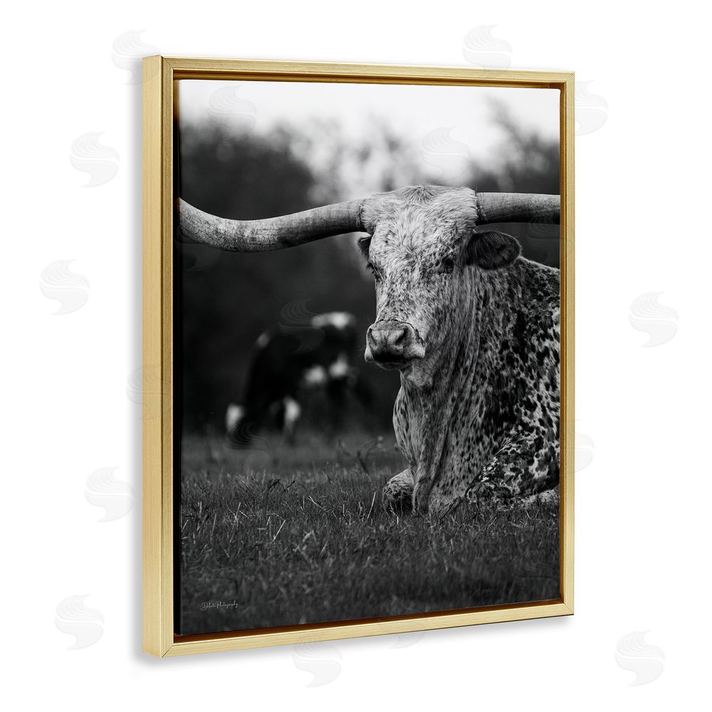 Dakota Diener Resting Longhorn Photography Gold Floating Frame Canvas Wall Art Print