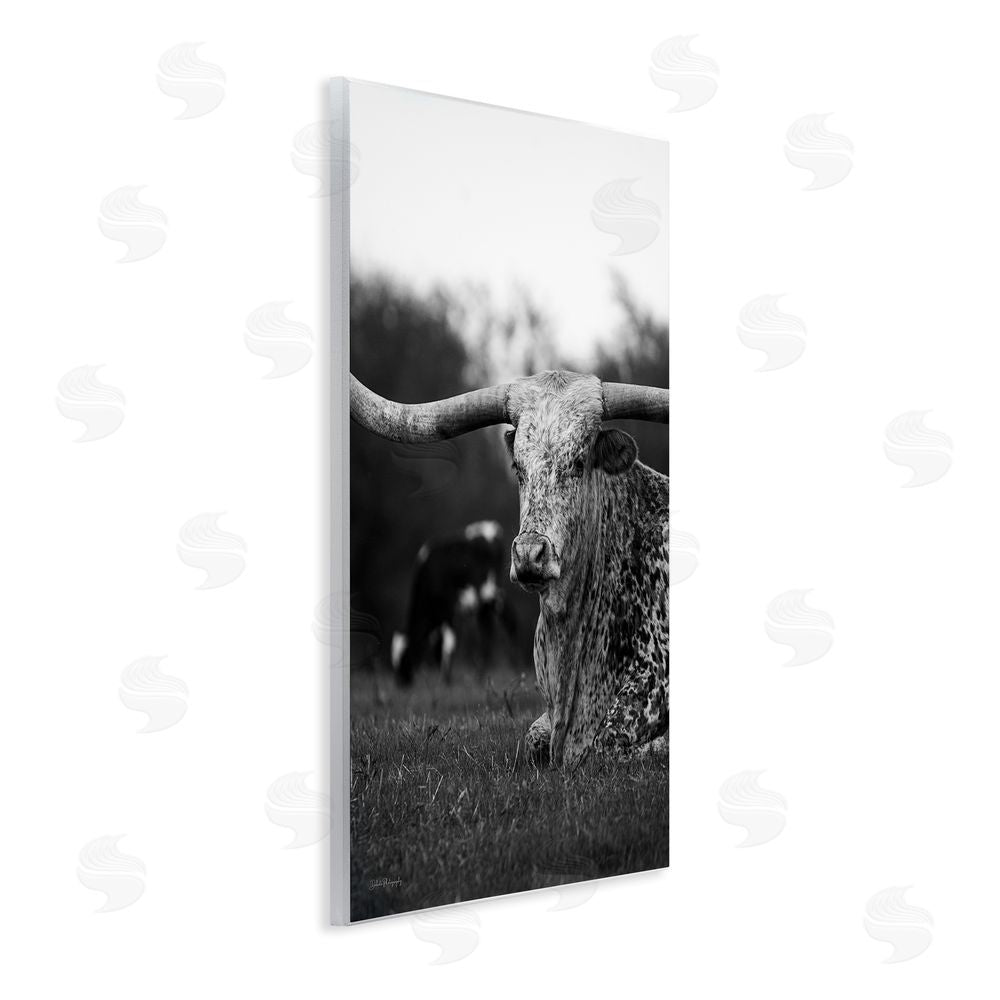 Dakota Diener Resting Longhorn Photography Wall Plaque Art Print
