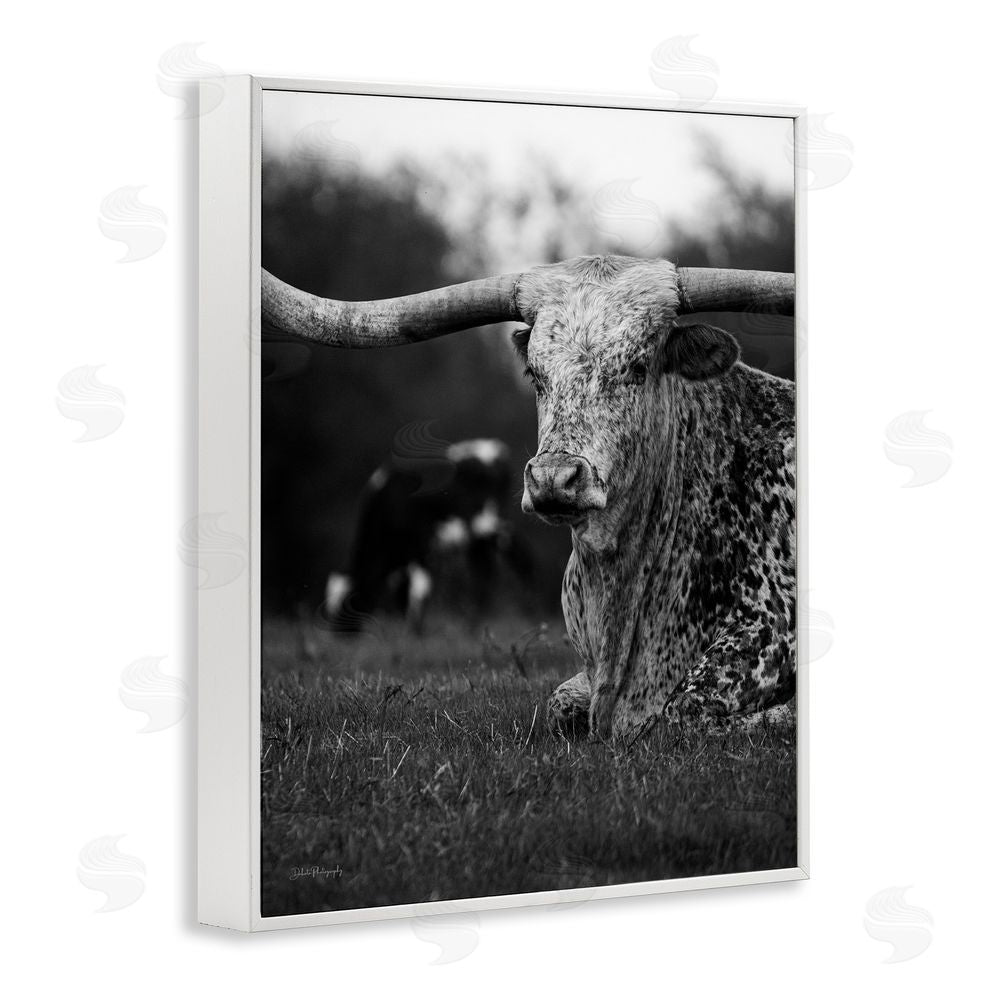 Dakota Diener Resting Longhorn Photography White Framed Giclee Wall Art Print