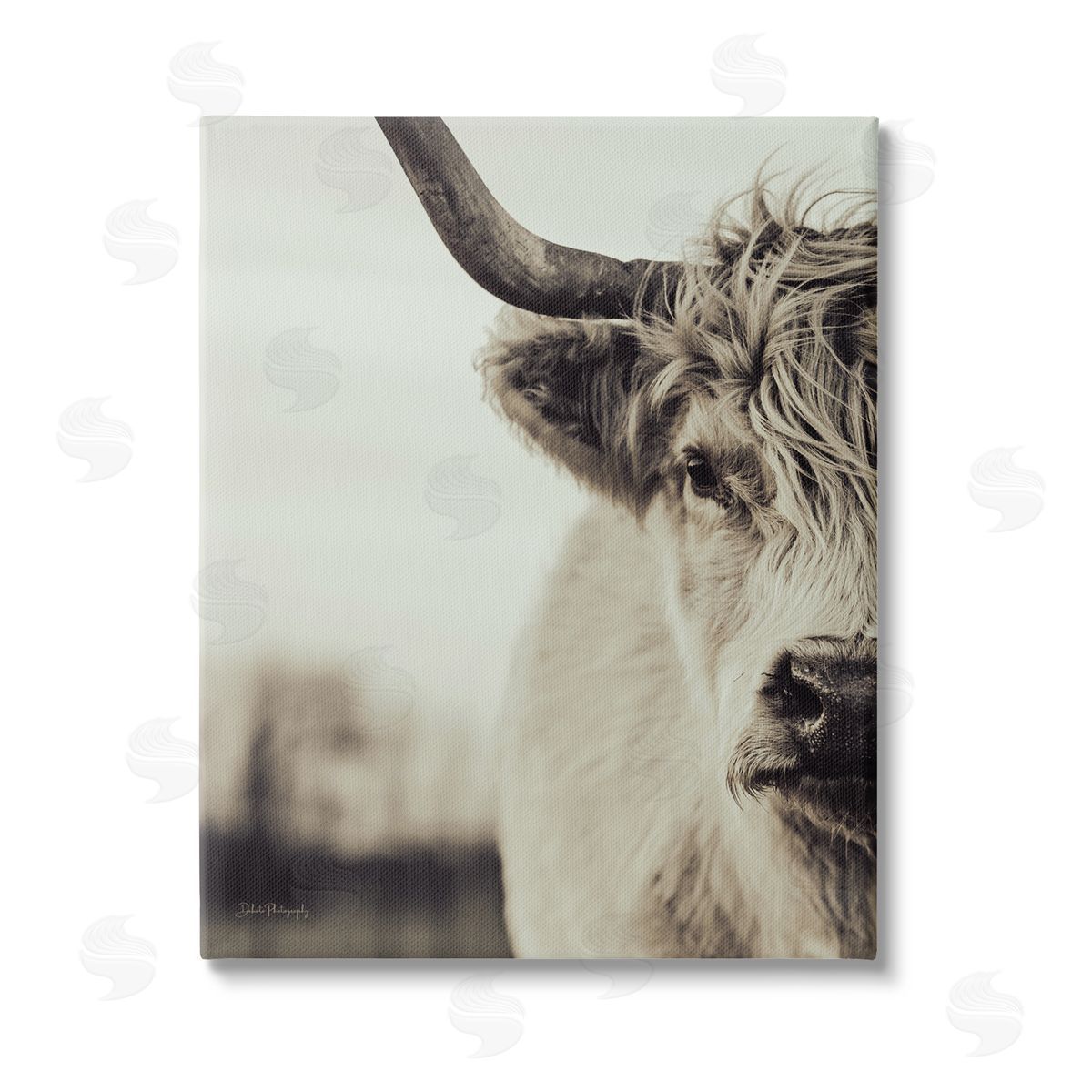 Dakota Diener Highland Cow Face Portrait Stretched Canvas Wall Art Print