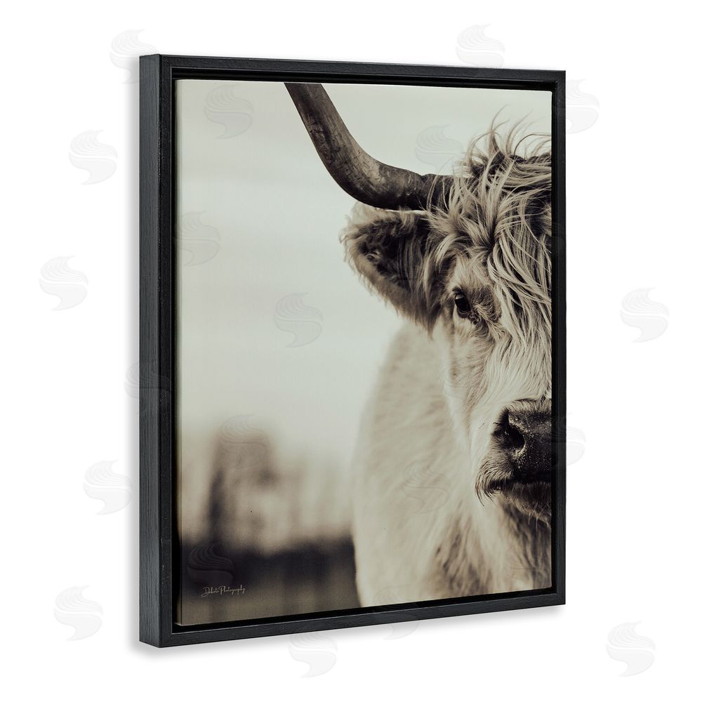 Dakota Diener Highland Cow Face Portrait Black Floating Frame Canvas Wall Art Print