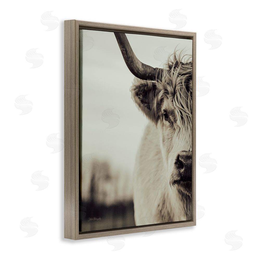 Dakota Diener Highland Cow Face Portrait Brown Floating Frame Canvas Wall Art Print