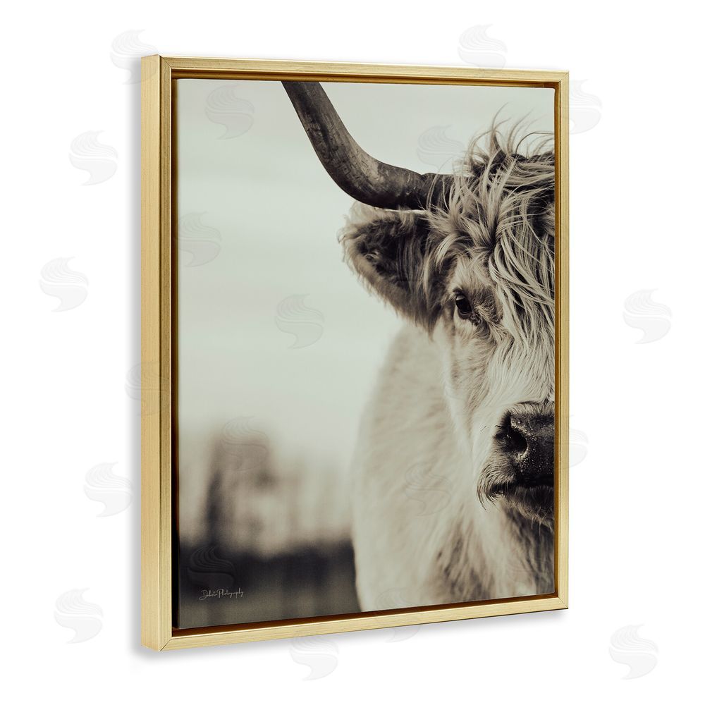 Dakota Diener Highland Cow Face Portrait Gold Floating Frame Canvas Wall Art Print