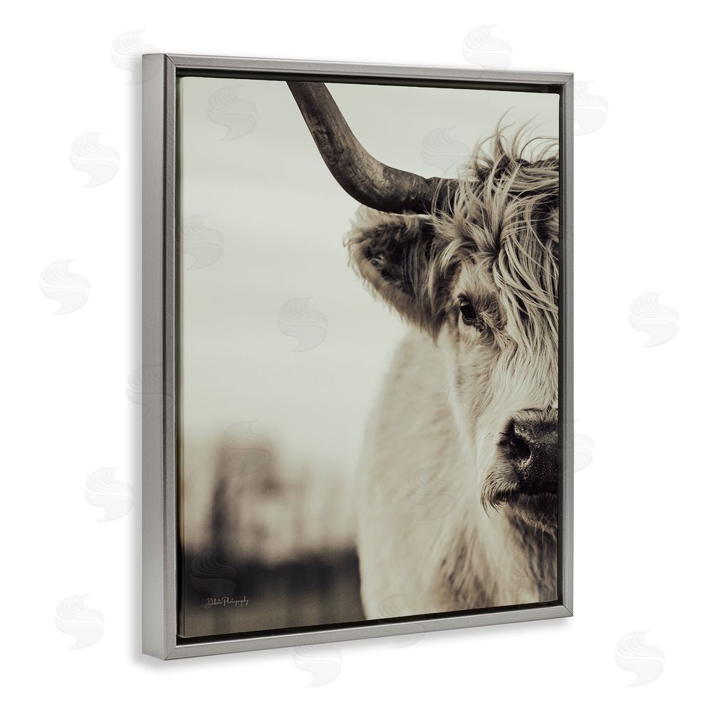 Dakota Diener Highland Cow Face Portrait Grey Floating Frame Canvas Wall Art Print