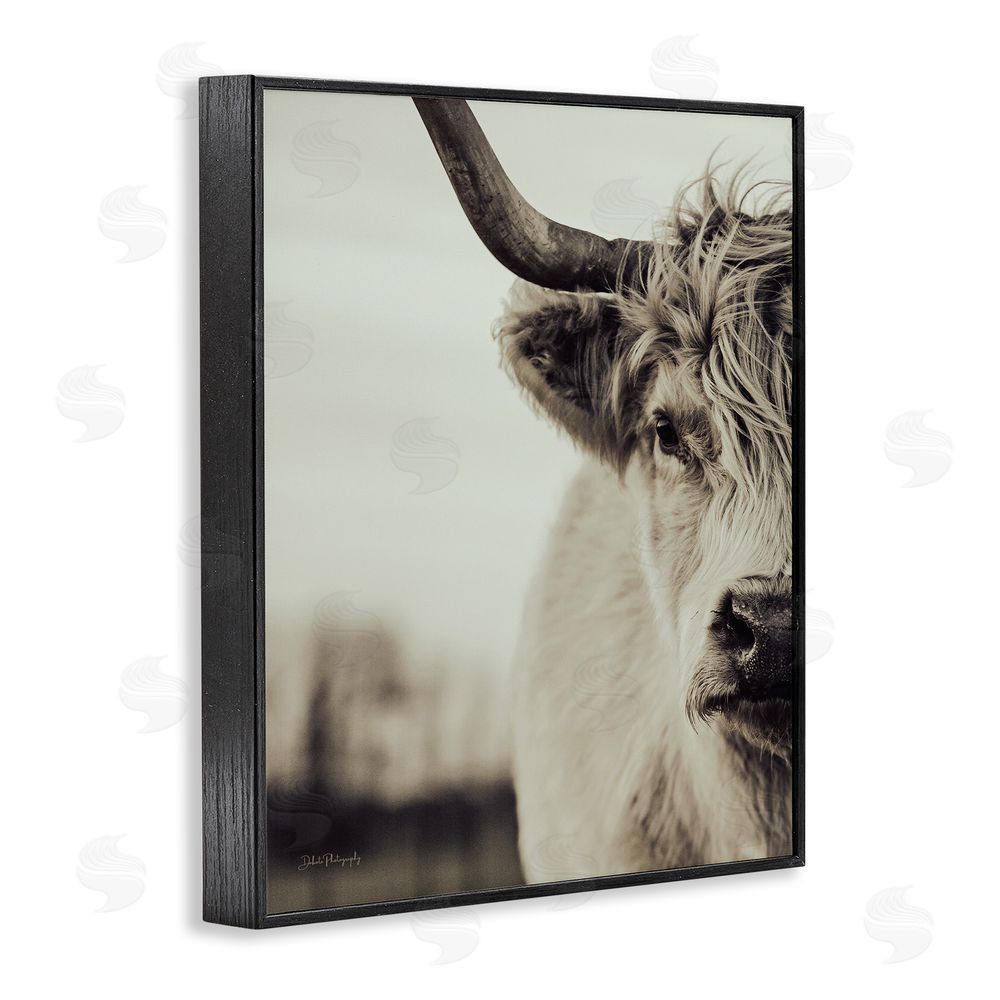 Dakota Diener Highland Cow Face Portrait Black Framed Giclee Wall Art Print