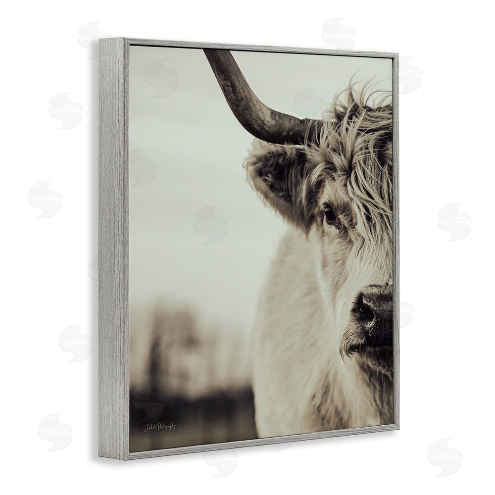 Dakota Diener Highland Cow Face Portrait Gray Framed Giclee Wall Art Print