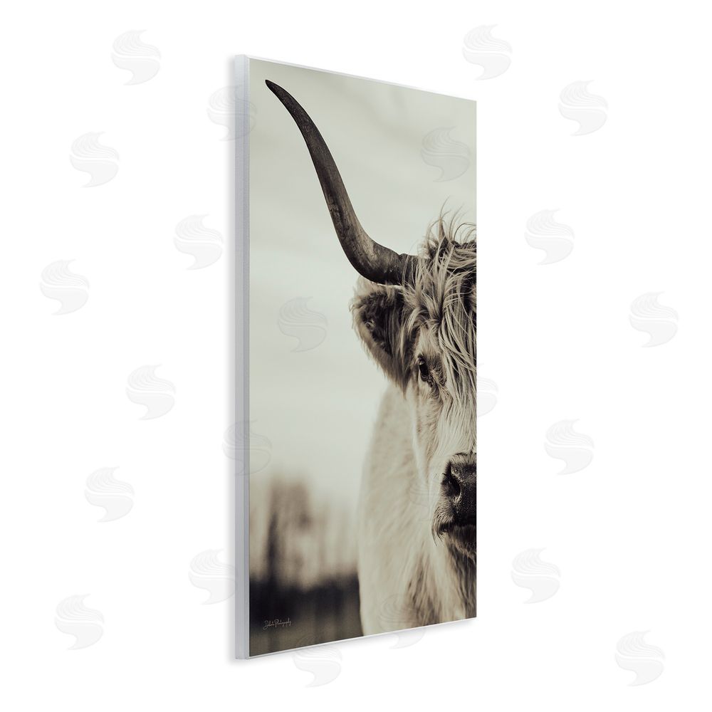 Dakota Diener Highland Cow Face Portrait Wall Plaque Art Print
