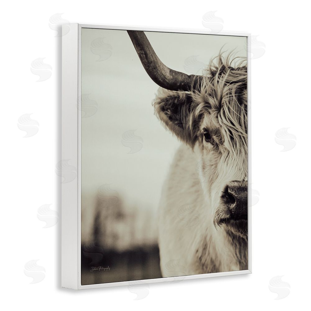 Dakota Diener Highland Cow Face Portrait White Framed Giclee Wall Art Print