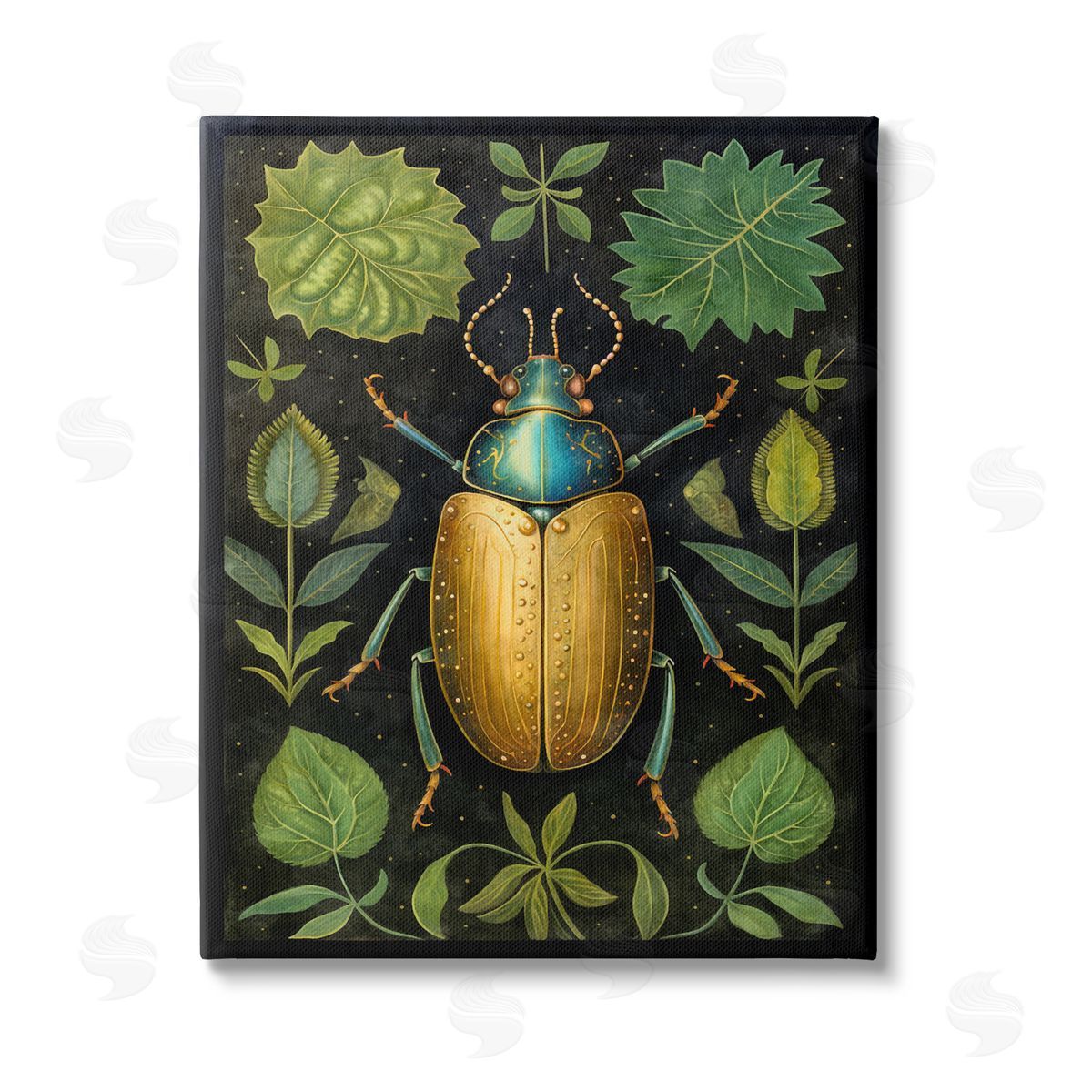 The Dutch Lady Botanical Beetle Study Stretched Canvas Wall Art Print