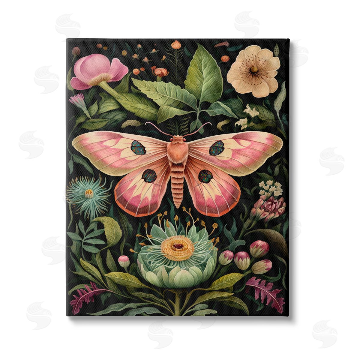 The Dutch Lady Vintage Botanical Moth Stretched Canvas Wall Art Print