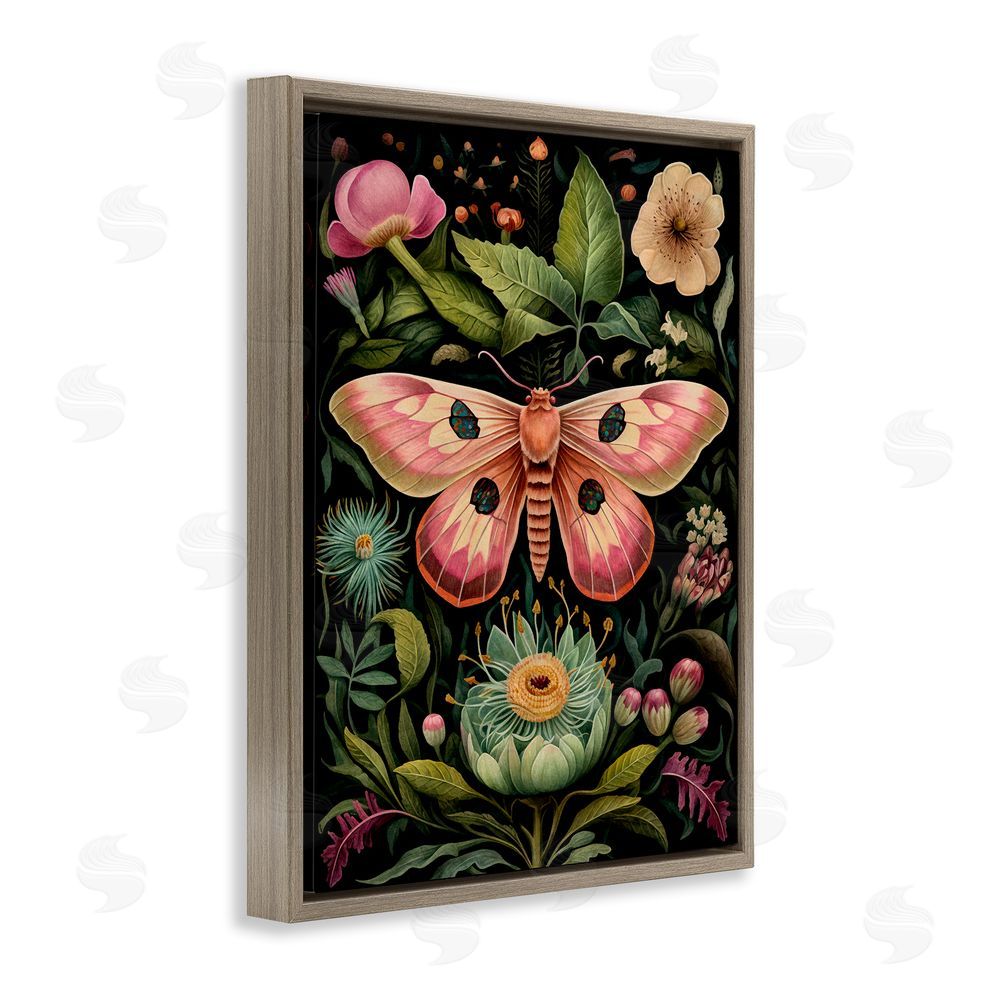 The Dutch Lady Vintage Botanical Moth Brown Floating Frame Canvas Wall Art Print
