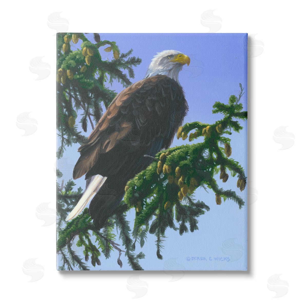 Derek Wicks Eagle on Fir Branch Stretched Canvas Wall Art Print