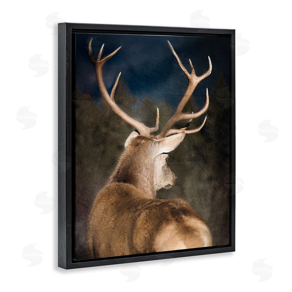 Kim Allen Rustic Dark Deer Portrait Black Floating Frame Canvas Wall Art Print