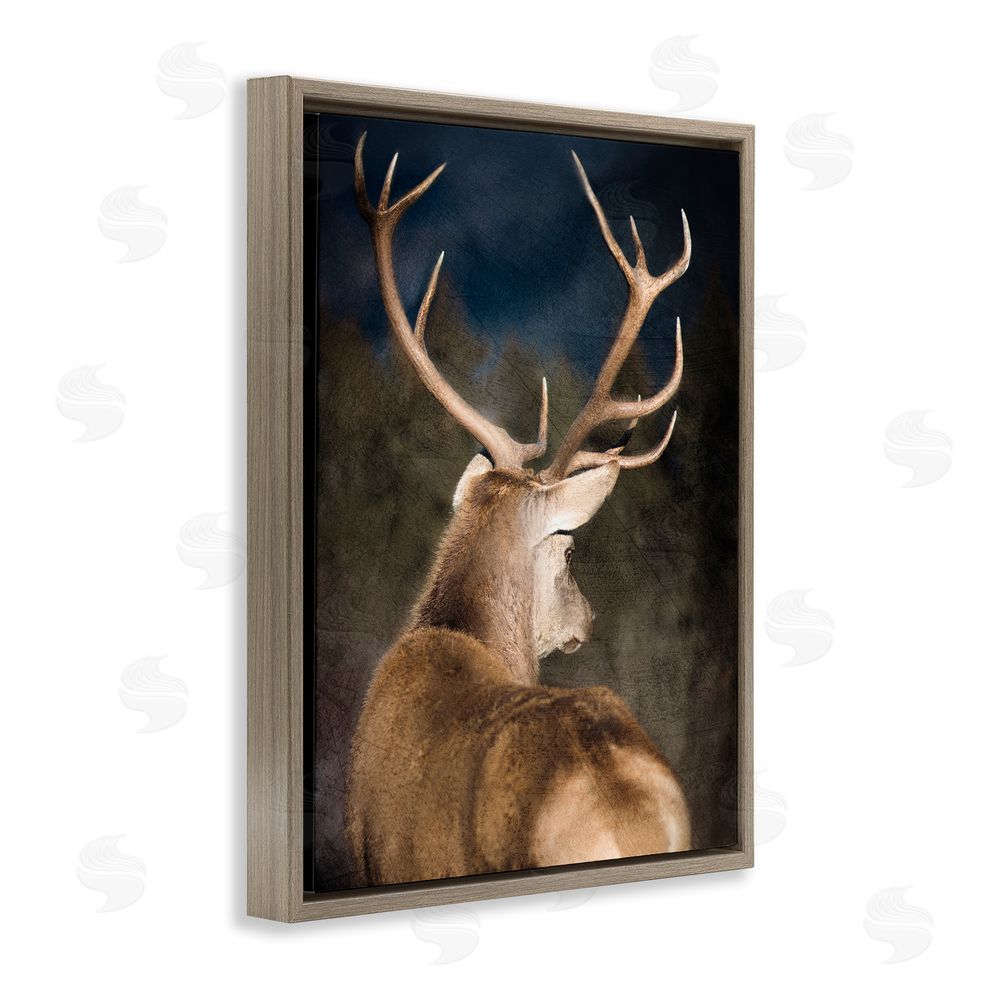 Kim Allen Rustic Dark Deer Portrait Brown Floating Frame Canvas Wall Art Print