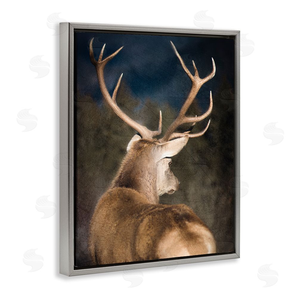 Kim Allen Rustic Dark Deer Portrait Grey Floating Frame Canvas Wall Art Print