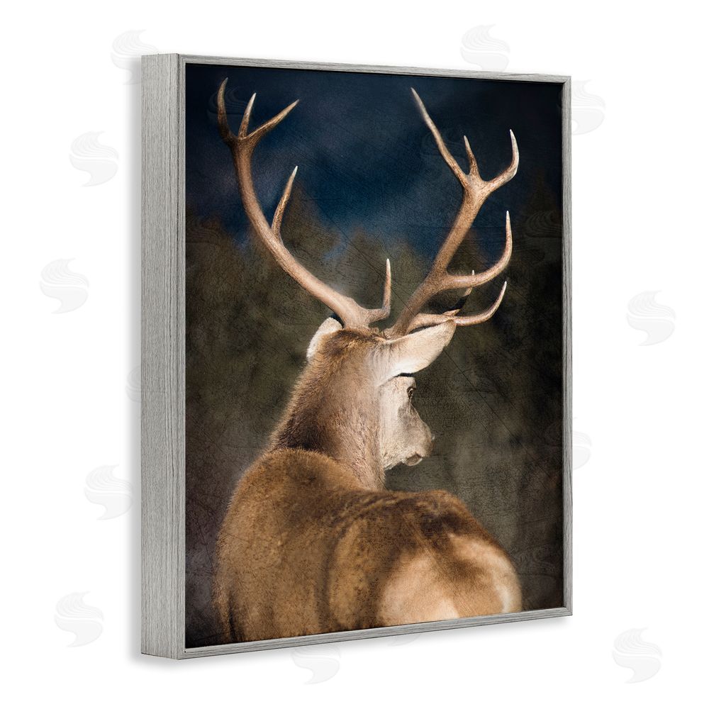 Kim Allen Rustic Dark Deer Portrait Gray Framed Giclee Wall Art Print