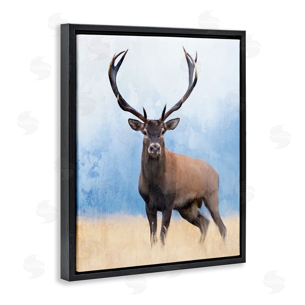 Kim Allen Deer in Open Field Black Floating Frame Canvas Wall Art Print