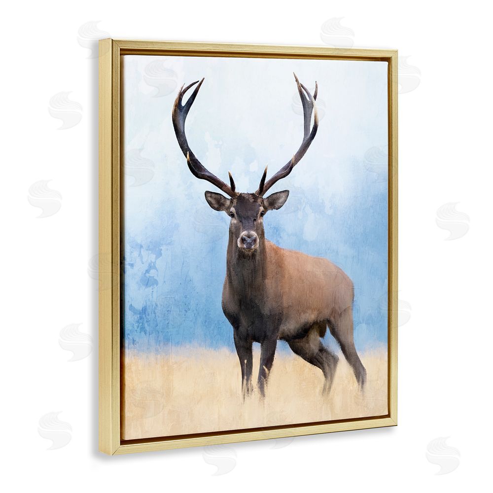 Kim Allen Deer in Open Field Gold Floating Frame Canvas Wall Art Print