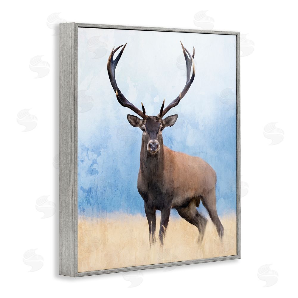 Kim Allen Deer in Open Field Gray Framed Giclee Wall Art Print