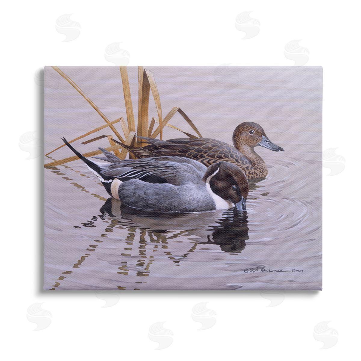 Rod Lawrence Ducks with Pond Ripples Stretched Canvas Wall Art Print