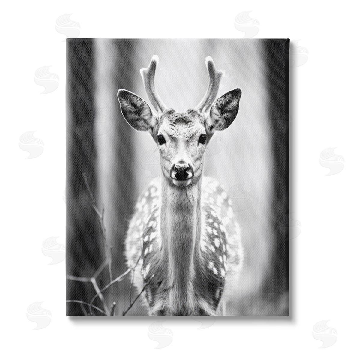 Ray Powers Baby Fawn Photography Stretched Canvas Wall Art Print