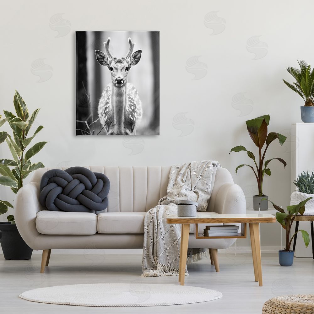 Ray Powers Baby Fawn Photography Canvas Wall Art Print in Room