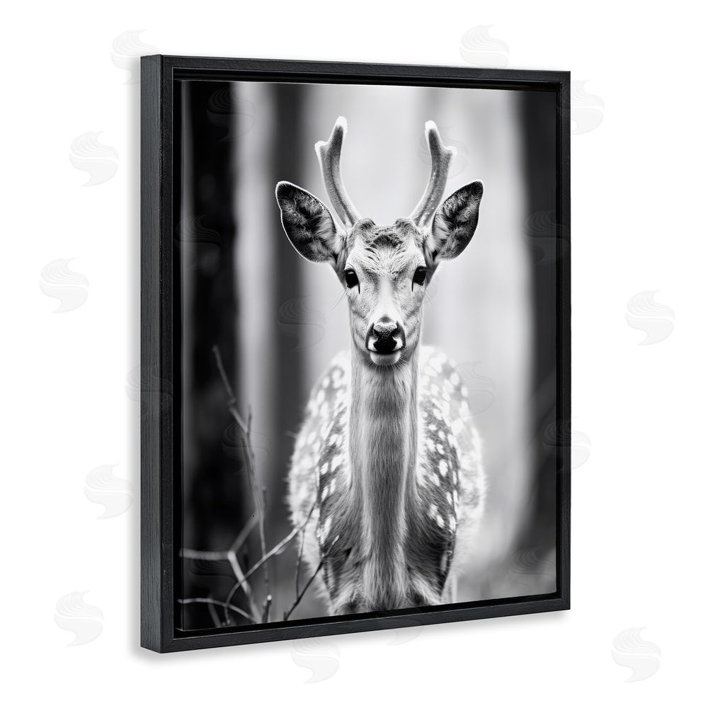 Ray Powers Baby Fawn Photography Black Floating Frame Canvas Wall Art Print