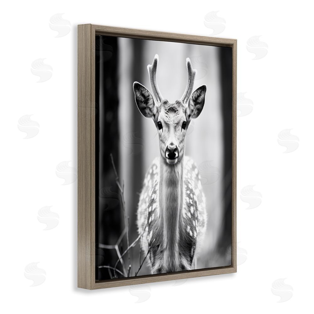 Ray Powers Baby Fawn Photography Brown Floating Frame Canvas Wall Art Print