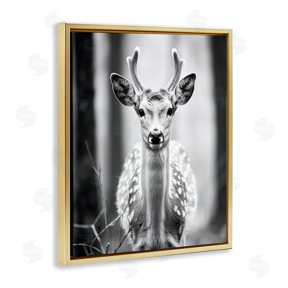 Ray Powers Baby Fawn Photography Gold Floating Frame Canvas Wall Art Print