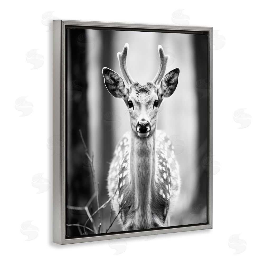 Ray Powers Baby Fawn Photography Grey Floating Frame Canvas Wall Art Print