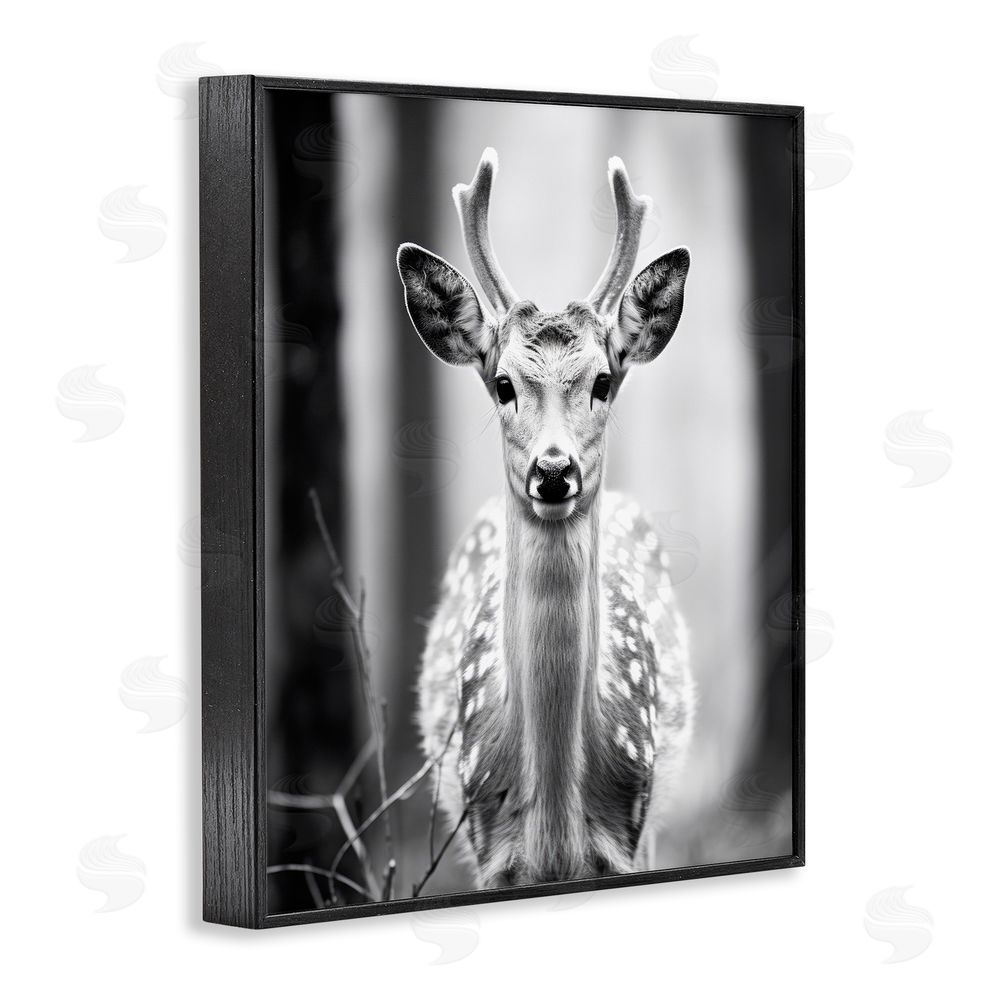 Ray Powers Baby Fawn Photography Black Framed Giclee Wall Art Print