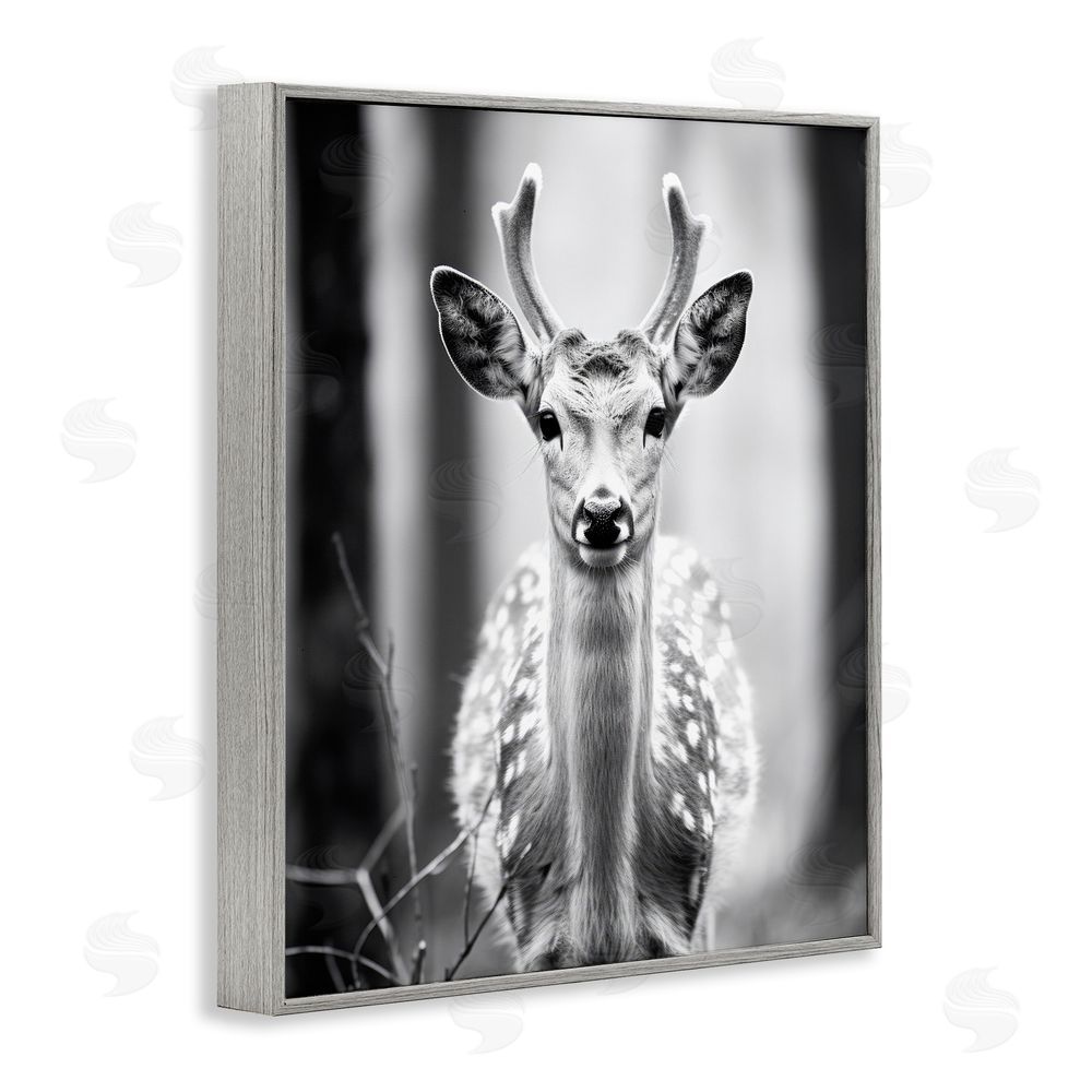 Ray Powers Baby Fawn Photography Gray Framed Giclee Wall Art Print