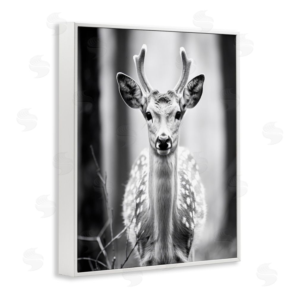 Ray Powers Baby Fawn Photography White Framed Giclee Wall Art Print