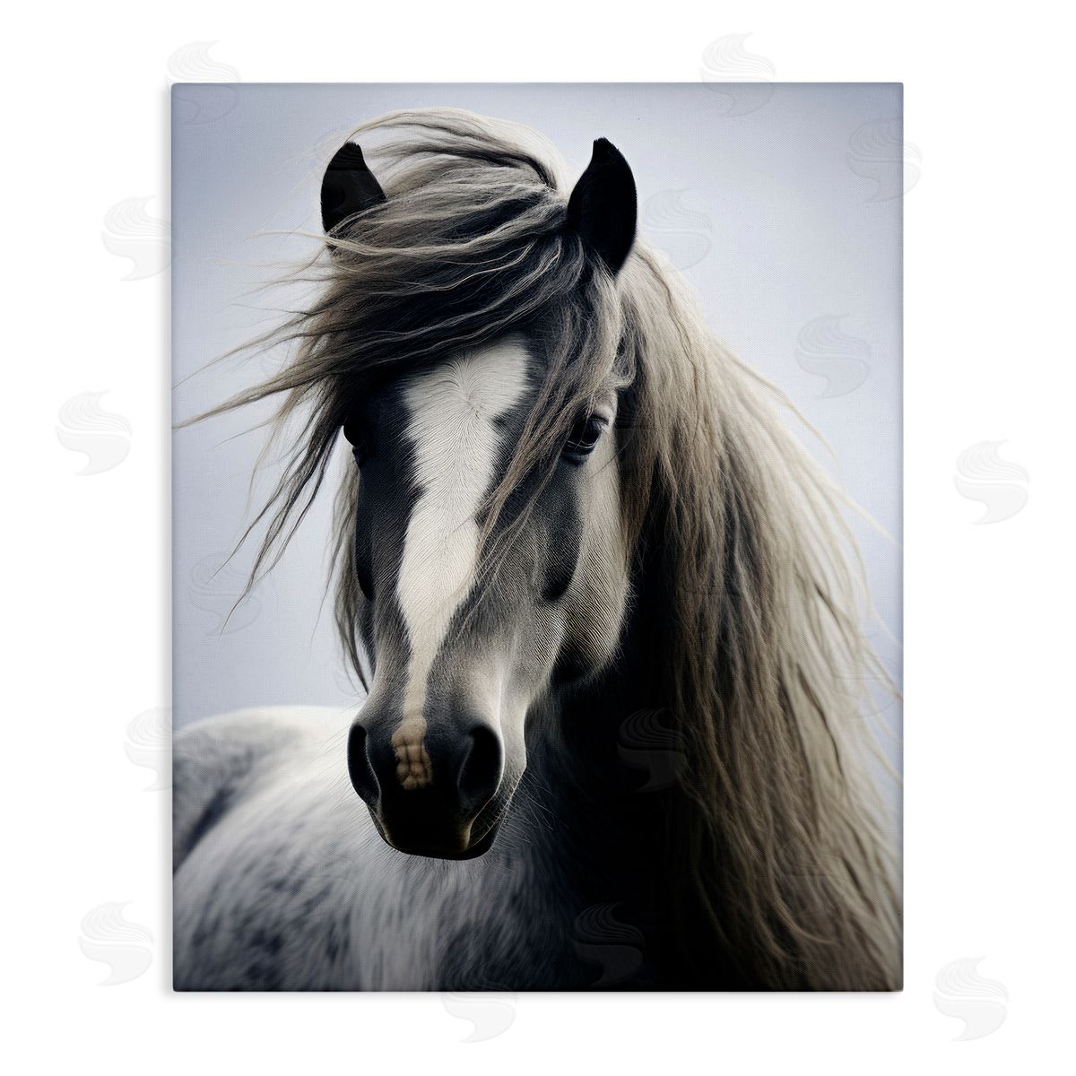 Ray Powers Windblown Horse Mane Stretched Canvas Wall Art Print