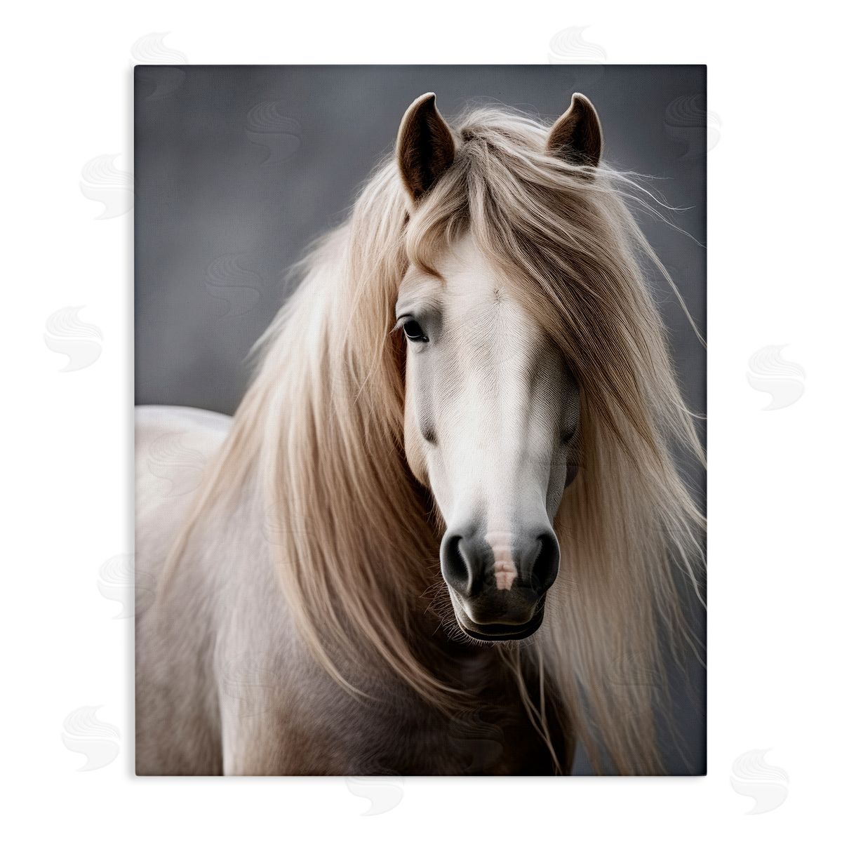 Ray Powers Silky Haired Horse Stretched Canvas Wall Art Print