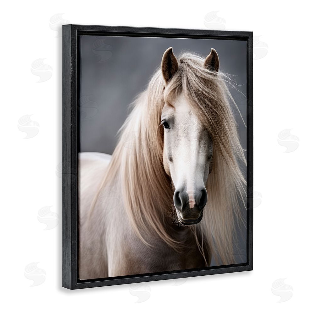 Ray Powers Silky Haired Horse Black Floating Frame Canvas Wall Art Print