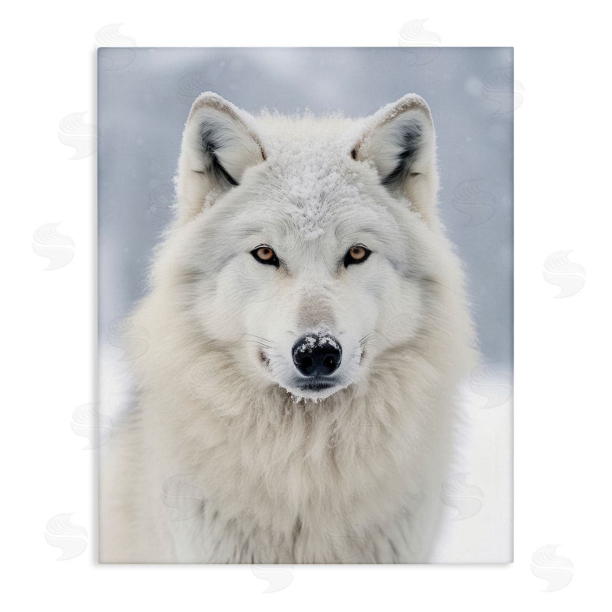 Ray Powers White Wolf in Snow Stretched Canvas Wall Art Print